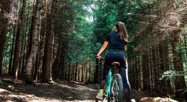 eBook_The Modern Digital Workplace for Microsoft 365_2022_landing page