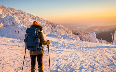 SharePoint Search: How to help employees find what they need