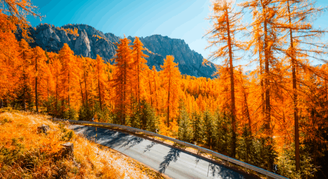 Intranet vs Extranet vs Internet: What’s the Difference?