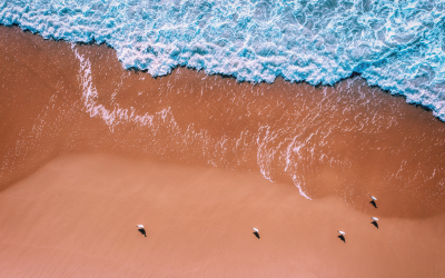 Understanding the difference between SharePoint and intranet solutions